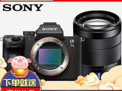高品质相机 索尼（SONY）ILCE-7M3/A7M3/a73​仅售21499.00元