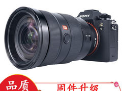 全性能专业相机 索尼（Sony）ILCE-9/A9/α9 全画幅数​仅售30988.00元