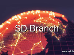 别只盯着SD-WAN，SD-Branch了解下？