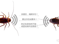 通俗易懂！看完你就是半个天线专家了