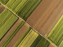 物联网应用如何实现农业的数字化转型？